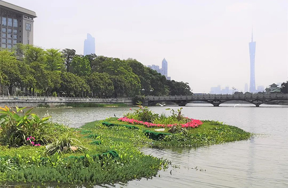 湖泊環(huán)境治理達(dá)至人水和諧的技術(shù)思路｜廣州東山湖生態(tài)修復(fù)訪談錄