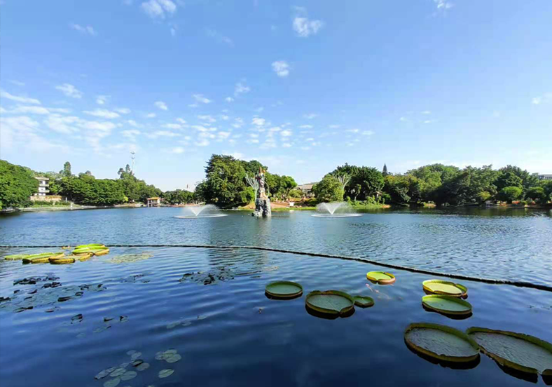 打造城市的秘密花園